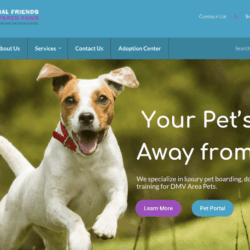 afpamperedpaws